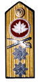 Commodore