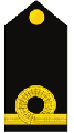 Vice Admiral