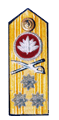 Vice Admiral